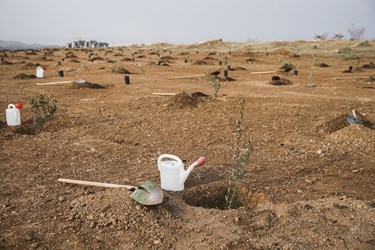 مراسم روز درختکاری در سپاه پاسداران