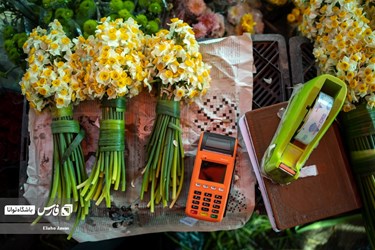 Flower, Plant Market in Tehran on Eve of Iranian New Year