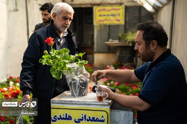 Flower, Plant Market in Tehran on Eve of Iranian New Year