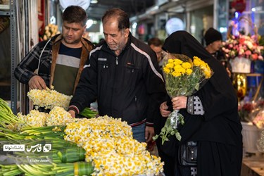 Flower, Plant Market in Tehran on Eve of Iranian New Year