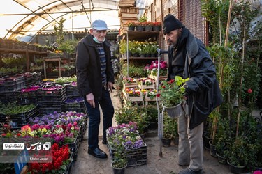 Flower, Plant Market in Tehran on Eve of Iranian New Year