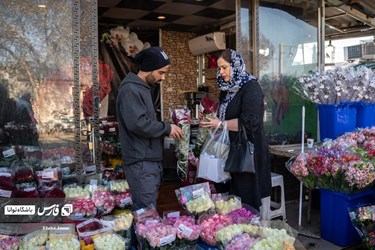 Flower, Plant Market in Tehran on Eve of Iranian New Year