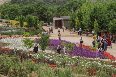 باغ گلها