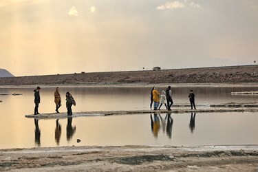 بازگشت زندگی به «دریاچه ارومیه»