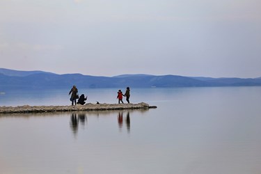 بازگشت زندگی به «دریاچه ارومیه»