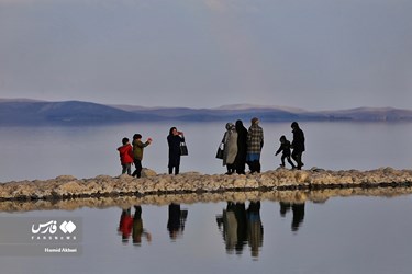 عودة الحياة الى بحيرة ارومية شمال غرب ايران