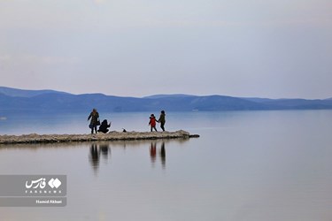 عودة الحياة الى بحيرة ارومية شمال غرب ايران