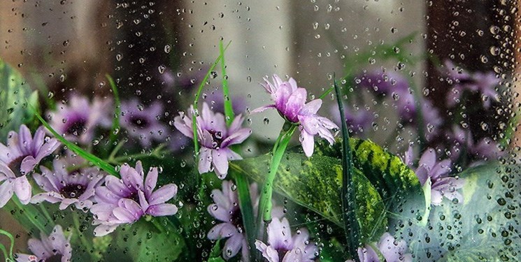 باران، مهمان سال نو در مازندران