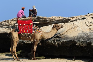 حضور «مهمانان نوروزی» در سواحل قشم