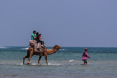 حضور «مهمانان نوروزی» در سواحل قشم