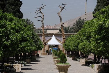 باغ جهان نما