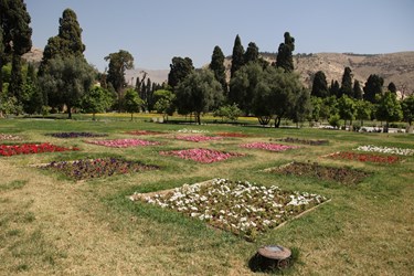 باغ جهان نما