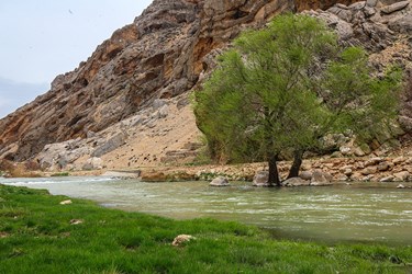 طبیعت بهاری «روستای دوپُلان»