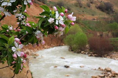 طبیعت بهاری «روستای دوپُلان»