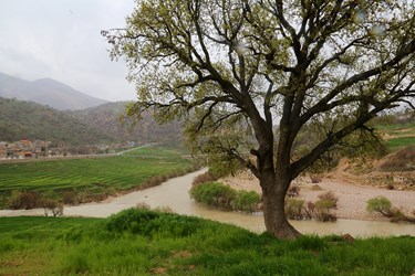 طبیعت بهاری «روستای دوپُلان»