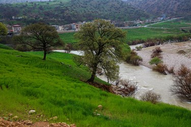 طبیعت بهاری «روستای دوپُلان»