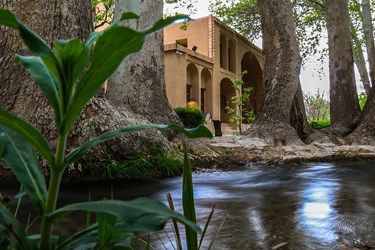 «باغ پهلوان پور» در مهریز