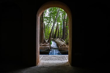 «باغ پهلوان پور» در مهریز