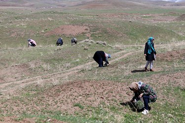 روز طبیعت در زنجان