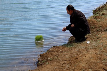 روز طبیعت در زنجان