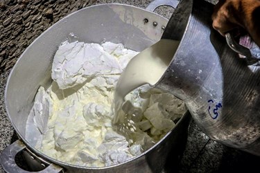«تَرحلوای» شیرازی