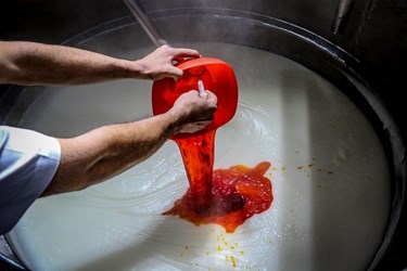 «تَرحلوای» شیرازی