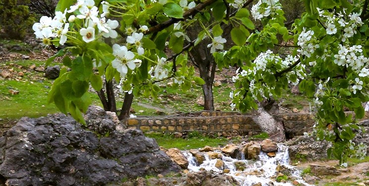 وقوع رگبارهای بهاری در نواحی غربی چهارمحال و بختیاری از روز چهارشنبه