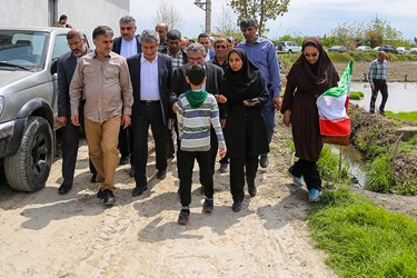 آغاز نشاء مکانیزه برنج در روستای خاریک ساری