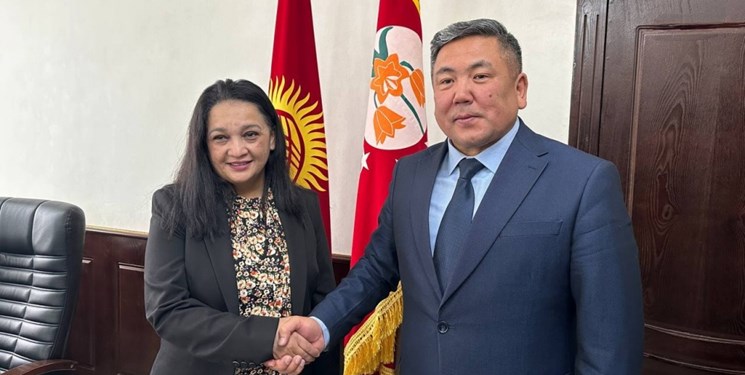 اجرای دو پروژه استراتژیک بزرگ  با کمک برنامه توسعه سازمان ملل در قرقیزستان