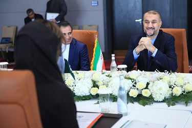 دیدار«حنا ربانی» وزیر مشاور در امور خارجی پاکستان با حسین امیرعبداللهیان وزیر امور خارجه