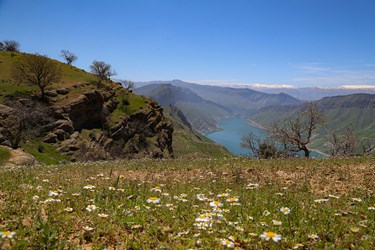 طبیعت «کول میشان»