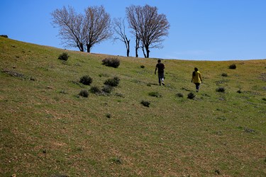 طبیعت «کول میشان»