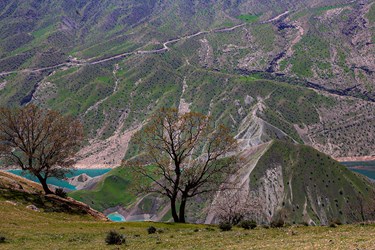 طبیعت «کول میشان»