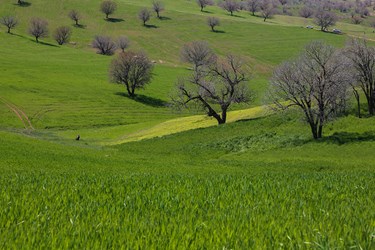 طبیعت «کول میشان»
