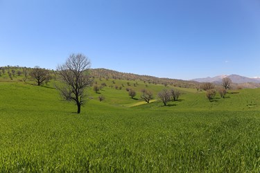 طبیعت «کول میشان»