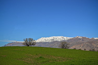طبیعت «کول میشان»