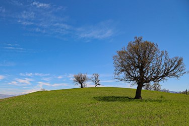طبیعت «کول میشان»