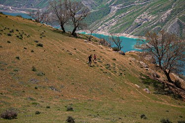 طبیعت «کول میشان»