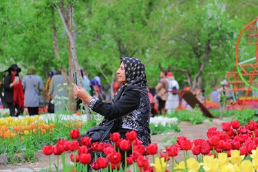 جشنواره «لاله‌های آسارا»