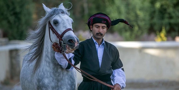 بیستون کرمانشاه میزبان رویداد بین‌المللی اسب کُرد