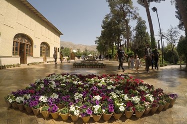 نیمه بهار، روز شیراز