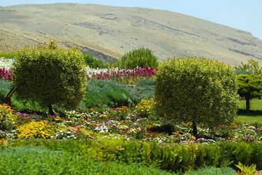 اردیبهشت در باغ گل های شیراز