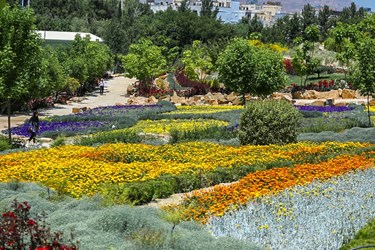 اردیبهشت در باغ گل های شیراز