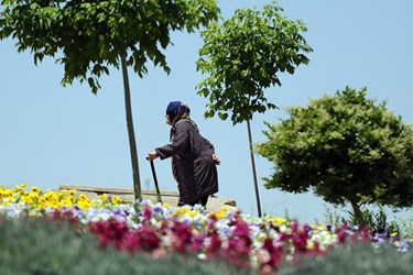 اردیبهشت در باغ گل های شیراز