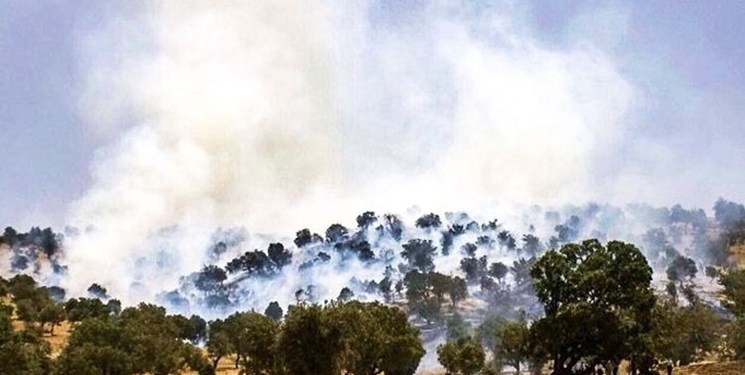 بودجه 22 میلیاردی برای مقابله با آتش‌سوزی جنگل‌ها چگونه خرج می شود؟/ نهادهای مسئول به وظیفه شان عمل می کنند؟!