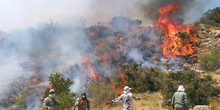 مهار آتش‌سوزی بیشه علی‌آباد در اندیمشک