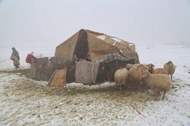 عشایر ایل قره داغ گرفتار در برف و کولاک بهاری