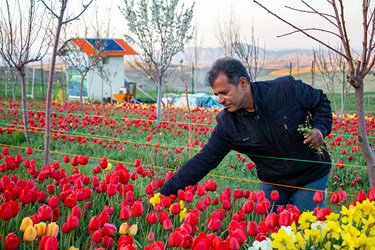 آقای اقدمی  شهروند خوش ذوق تبریزی