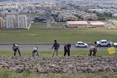 کوه نویسی