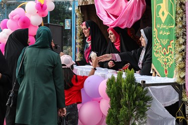جای جای اقلید سرشار از جشن میلاد حضرت معصومه(س)
